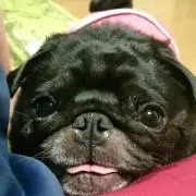 あきこ