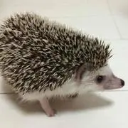 なると