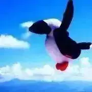 とととの画像