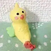 わかめかよの画像