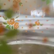 ルナ