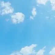 アストの画像