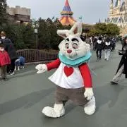 りんりん