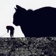 寧々
