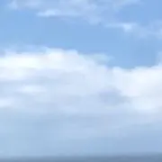 miiikkの画像