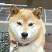 SADA