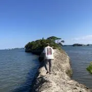 抹茶の画像