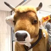 のび犬