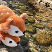 はくの画像