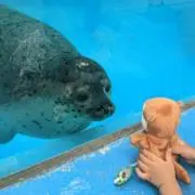 RikOの画像
