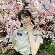 나비の画像