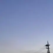レイ