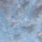 ウタ