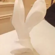 くまの画像