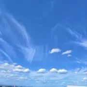 しーの画像