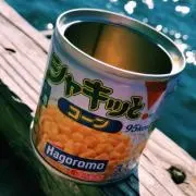 あり