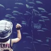 カトペン