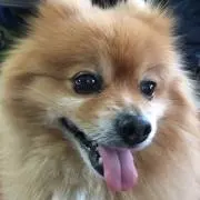 与一の画像