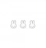 corcoの画像