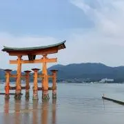 ✳︎B子✳︎