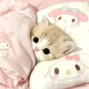 しなもんの画像