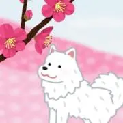 れたら★プロフお買得情報ご覧くださいの画像