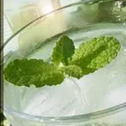 ミントの画像