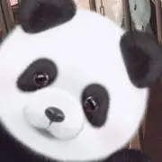 ゆーーーーこ