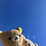 Soraの画像