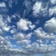 おまめ