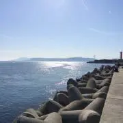 うえの画像