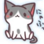 ユズの画像