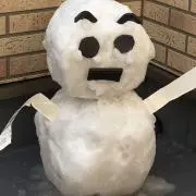 みーさんの画像