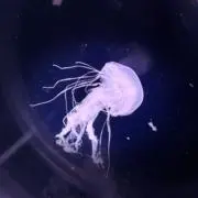 とある方の画像