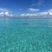 aaaaの画像