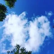 めぇたんの画像