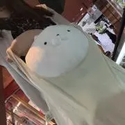 ガネストレイ。の画像