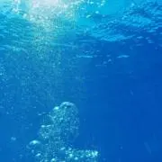 LJKの夜な夜な海月製作所の画像