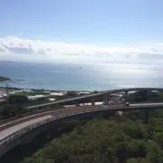 Mickyの画像