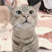 あっぷる