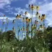 suesun67の画像