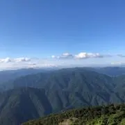 ゆっとんの画像