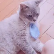 くろ
