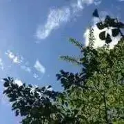 プロフ必読☆送料込み上乗せしてません☆