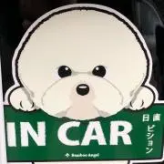 JOJOの画像
