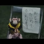 どぅいの画像