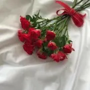 ひまわり