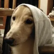 かおる