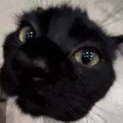 り