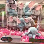 みきてぃの画像